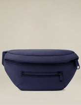 blue dagne dover fanny pack.