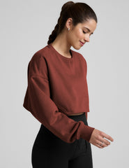 brown cropped crew neck loose fitting sweatshirt.