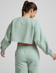 model wearing a light blue boxy fit cropped sweatshirt and fleece pants on a plain background.